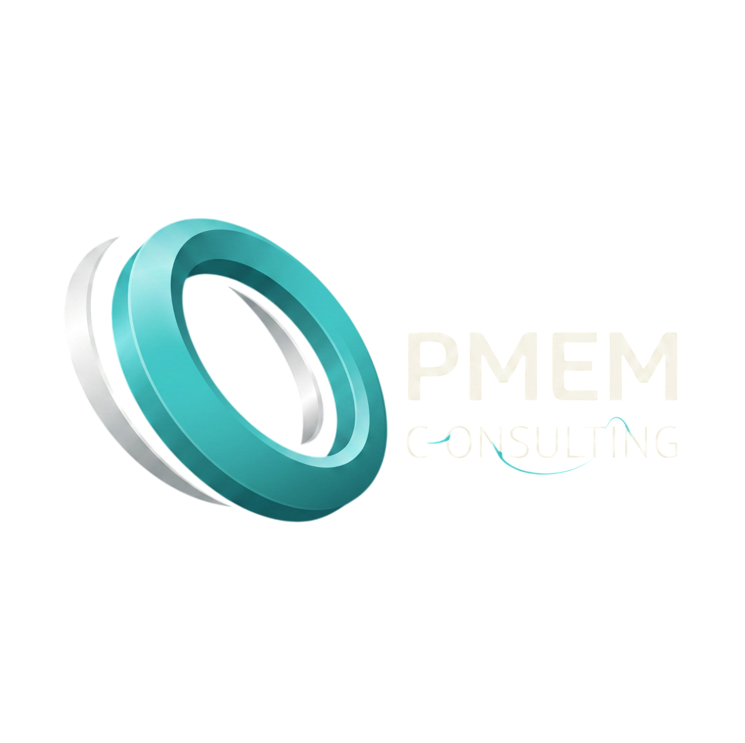 OPMEM Consulting logo